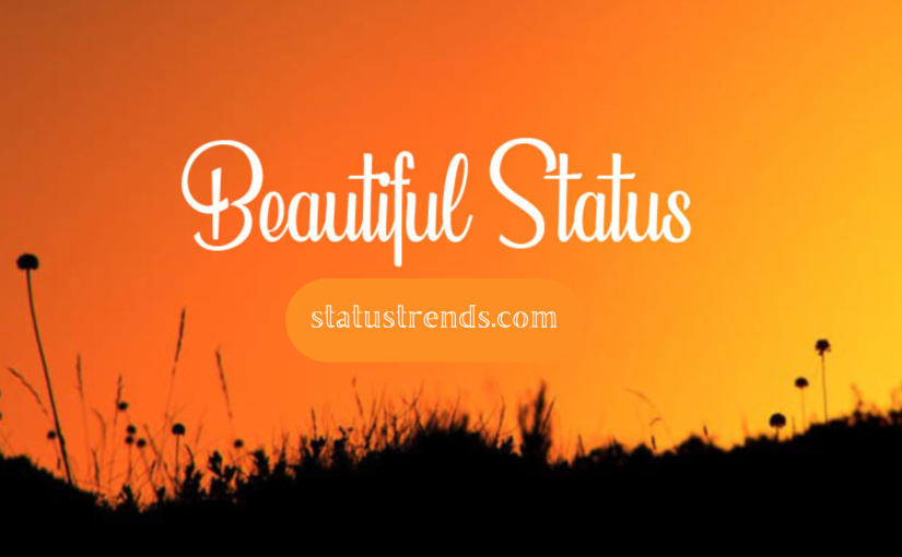 Beautiful Status